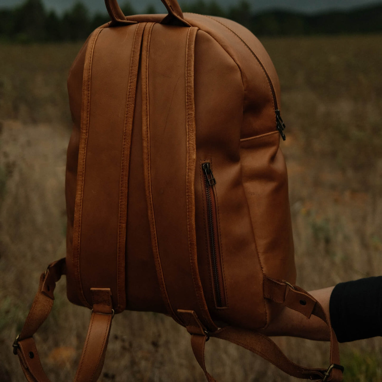 Wanderer Leather Backpack